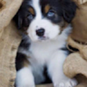 Meet your Posher, Learah